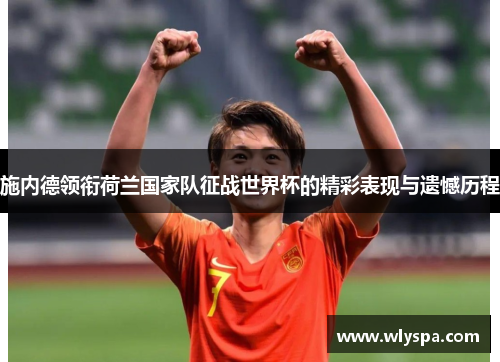施内德领衔荷兰国家队征战世界杯的精彩表现与遗憾历程