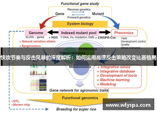 快攻节奏与反击风暴的深度解析：如何运用高速反击策略改变比赛格局