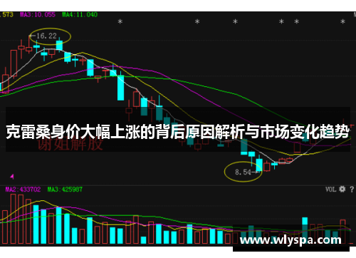 克雷桑身价大幅上涨的背后原因解析与市场变化趋势