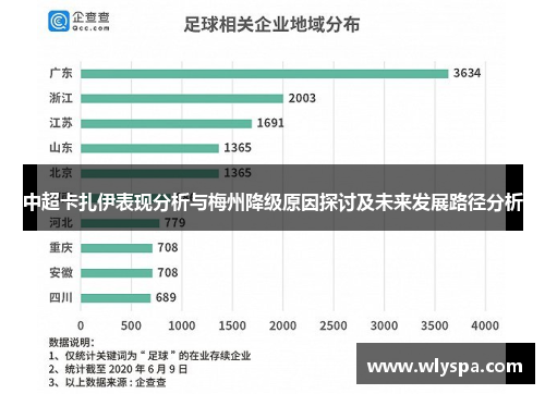 中超卡扎伊表现分析与梅州降级原因探讨及未来发展路径分析