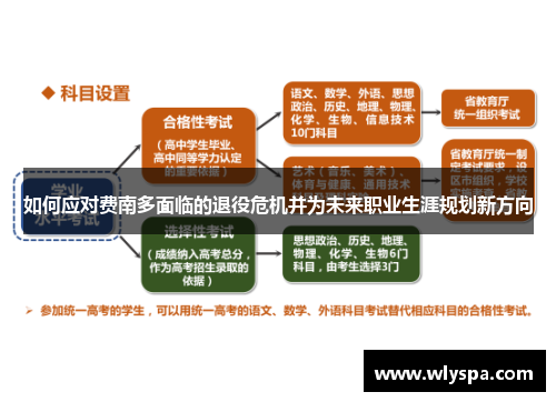 如何应对费南多面临的退役危机并为未来职业生涯规划新方向
