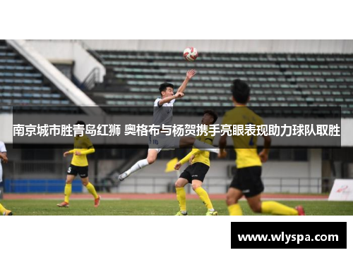 南京城市胜青岛红狮 奥格布与杨贺携手亮眼表现助力球队取胜