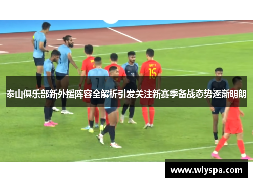 泰山俱乐部新外援阵容全解析引发关注新赛季备战态势逐渐明朗