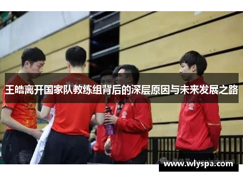 王皓离开国家队教练组背后的深层原因与未来发展之路 王皓离开国家队教练组背后的深层原因与未来发展之路
