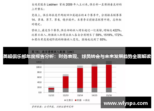 英超俱乐部年度报告分析：财务表现、球员转会与未来发展趋势全面解读