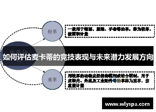 如何评估麦卡蒂的竞技表现与未来潜力发展方向 如何评估麦卡蒂的竞技表现与未来潜力发展方向