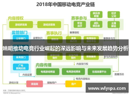 姚明推动电竞行业崛起的深远影响与未来发展趋势分析 姚明推动电竞行业崛起的深远影响与未来发展趋势分析