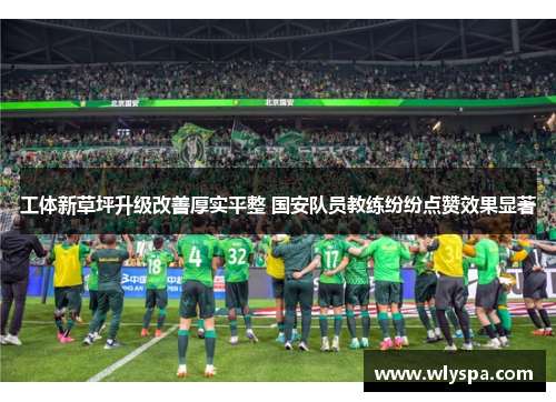 工体新草坪升级改善厚实平整 国安队员教练纷纷点赞效果显著 工体新草坪升级改善厚实平整 国安队员教练纷纷点赞效果显著