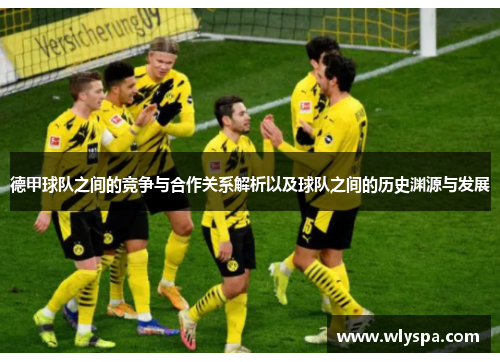 德甲球队之间的竞争与合作关系解析以及球队之间的历史渊源与发展