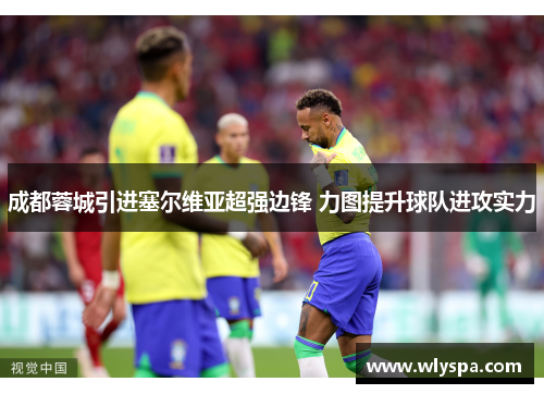 成都蓉城引进塞尔维亚超强边锋 力图提升球队进攻实力